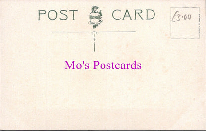 Leicestershire Postcard - Beaumanor, Woodhouse  SW14894