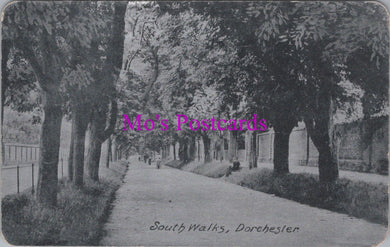 Dorset Postcard - South Walks, Dorchester   SW14905