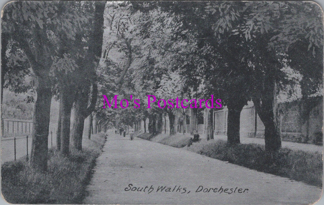 Dorset Postcard - South Walks, Dorchester   SW14905