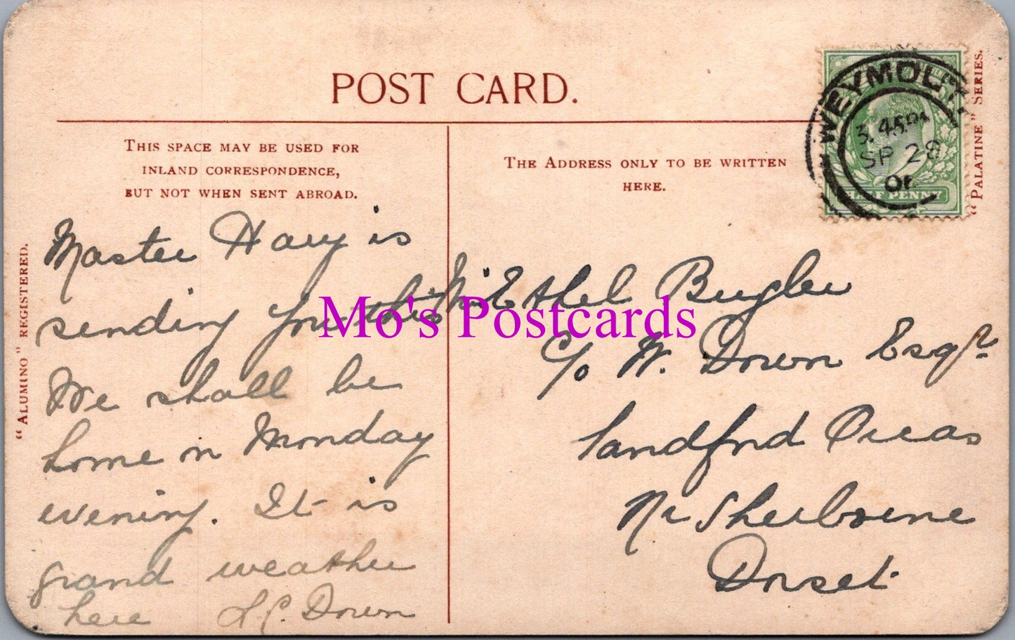 Dorset Postcard - South Walks, Dorchester   SW14905