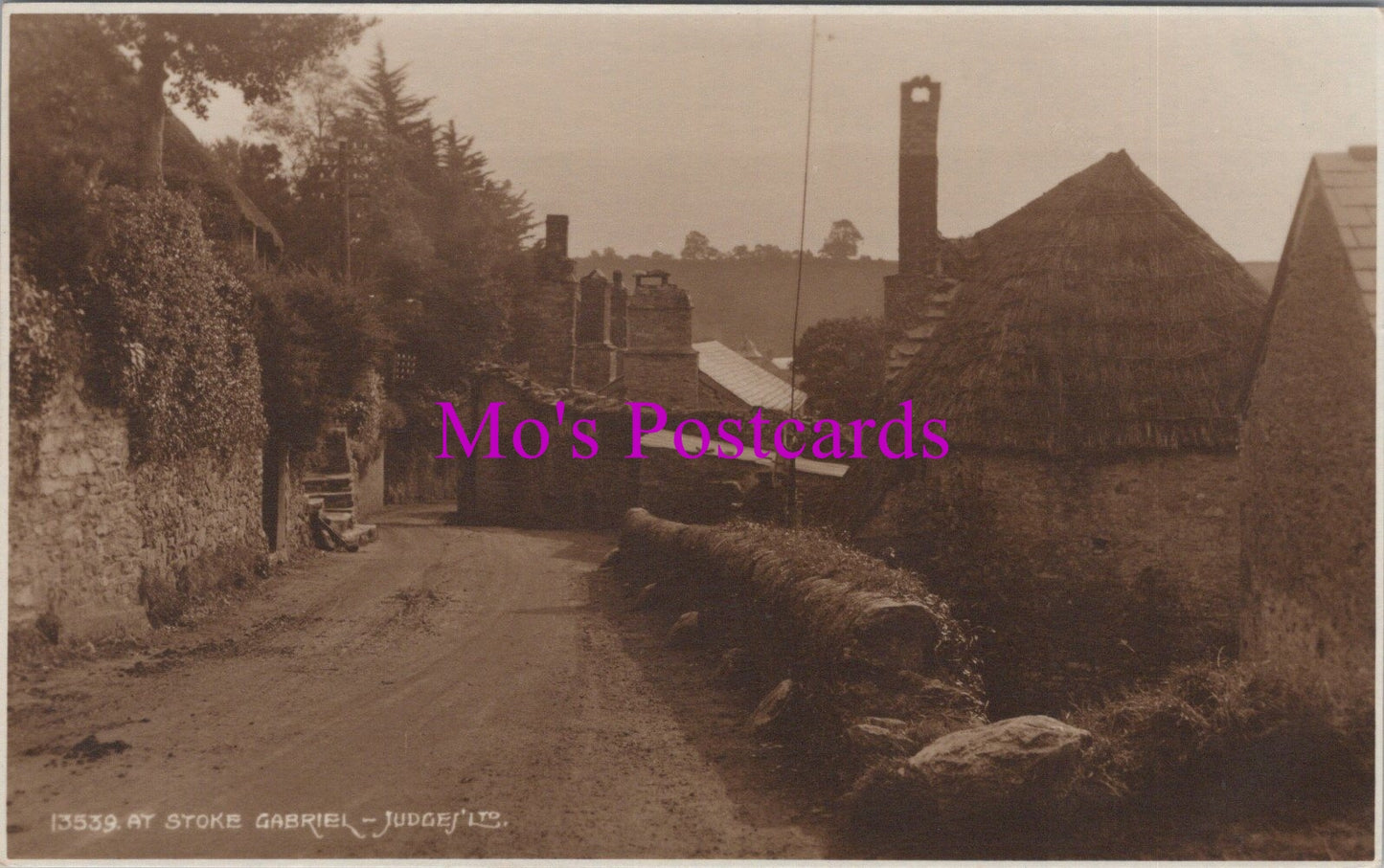 Devon Postcard - At Stoke Gabriel   SW14919