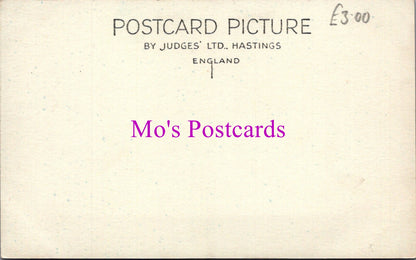 Devon Postcard - At Stoke Gabriel   SW14919