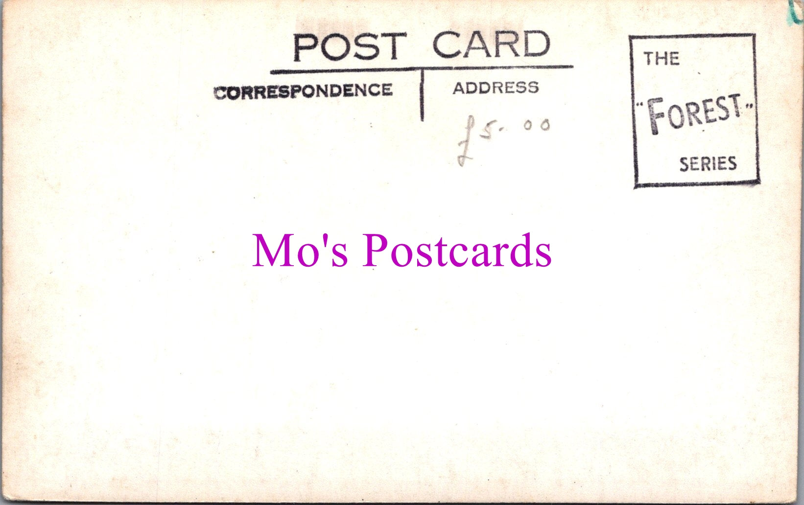 Hampshire Postcard - Forest Lawn    SW14930