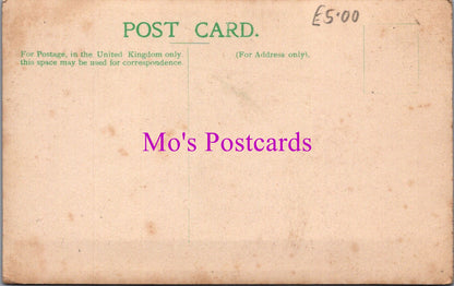 Ancestors Postcard - Two Ladies Riding in a Donkey Cart  SW14988