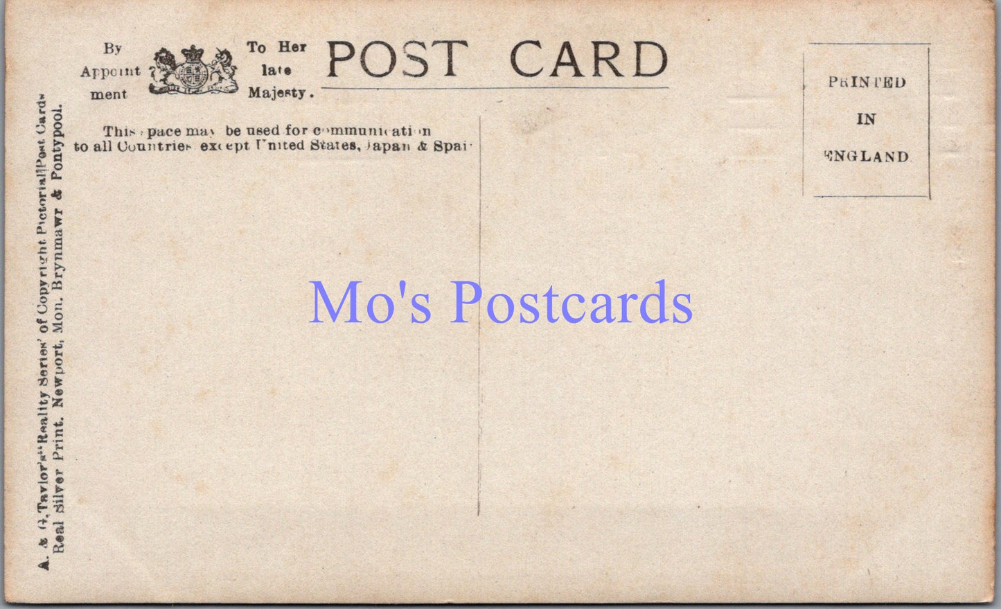 Social History Postcard - Lady Possibly Wearing a Wig  DZ62
