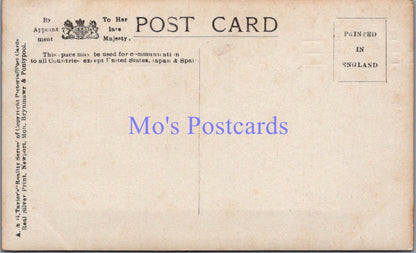 Social History Postcard - Lady Possibly Wearing a Wig  DZ62