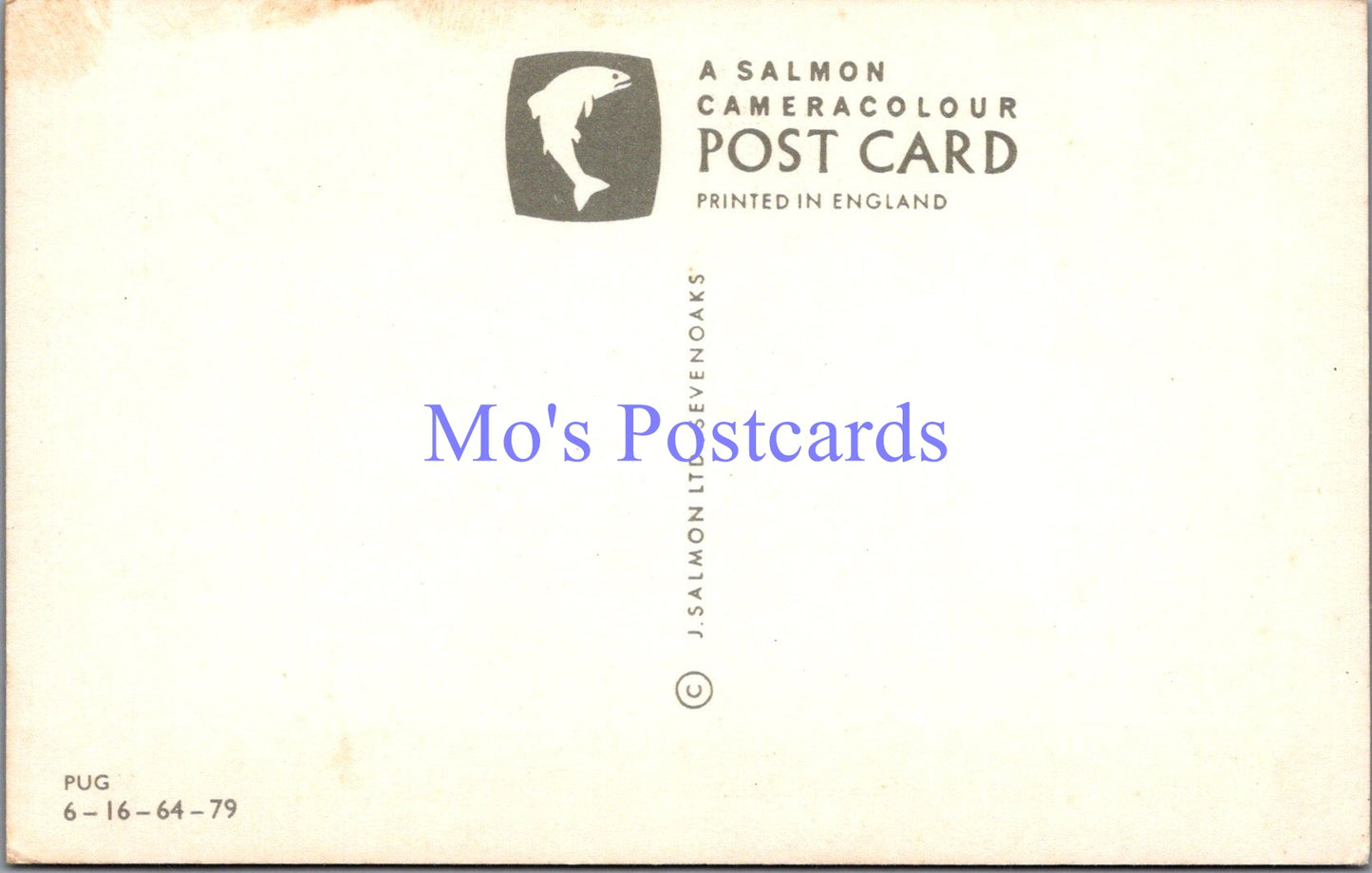 Animals Postcard - Pet Dogs - A Pug   DZ73