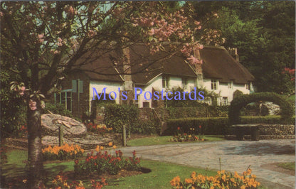 Devon Postcard - Cockington, Torquay   DZ91
