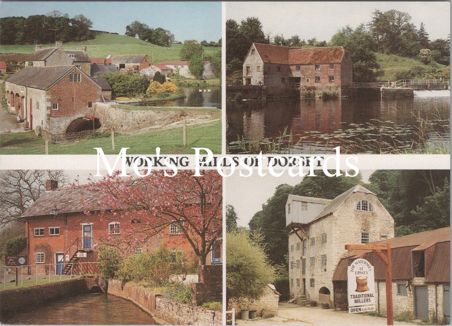 Dorset Postcard - Working Water Mills of Dorset   SW16608
