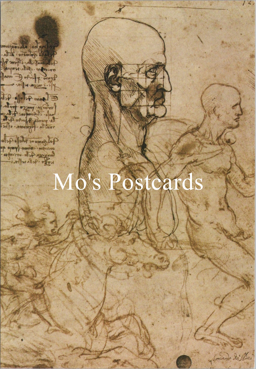 Art Postcard - Leonardo, Studi Della Fisionomia Umana e Cavalieri  SW16774