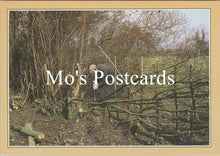 Load image into Gallery viewer, Occupations Postcard - Traditional Crafts, Hedge Laying SW16824

