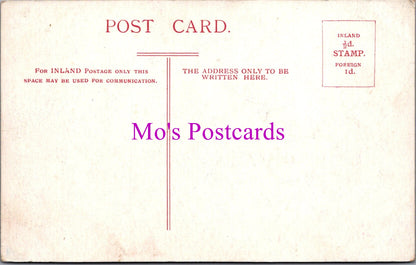 Ireland Postcard - Sunday's Well, Cork    SW15828