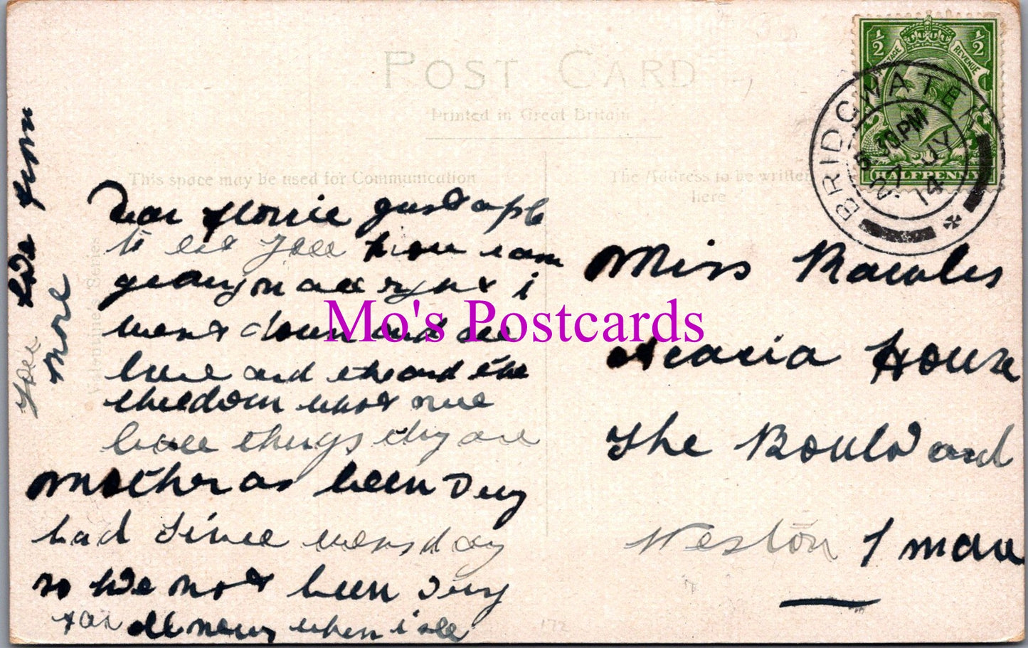 Somerset Postcard - Blake Gardens, Bridgwater    SW15839
