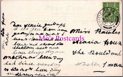 Somerset Postcard - Blake Gardens, Bridgwater    SW15839