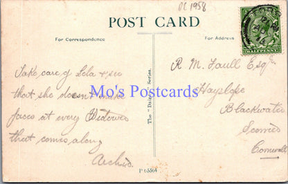 Devon Postcard - Torquay From Waldon Hill   DC1958