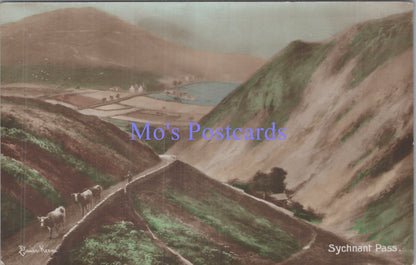 Wales Postcard - Sychnant Pass,  Conwy County  DC1978