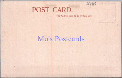 Devon Postcard - Torquay, Princess Gardens Landing Stage  DC1905