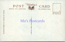 Load image into Gallery viewer, Scotland Postcard - A Small Scotch From Bridge of Earn  SW14328
