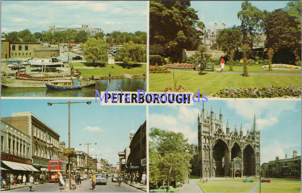 Cambridgeshire Postcard - Views of Peterborough    SW14337