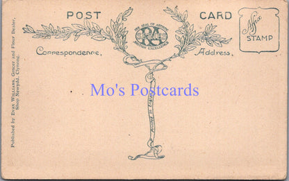 Wales Postcard - View of Clynnog From The Hill   SW14353