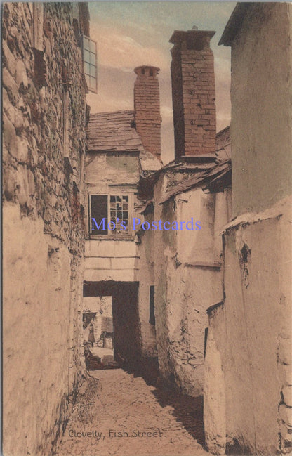 Devon Postcard - Clovelly, Fish Street   SW14367