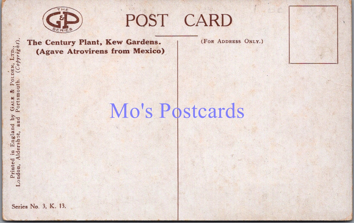 London Postcard - Kew Gardens, The Century Plant   SW14374
