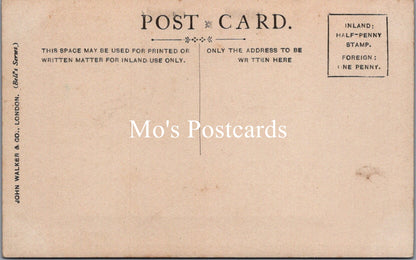 Naval Postcard - HMS Violet    SW20255