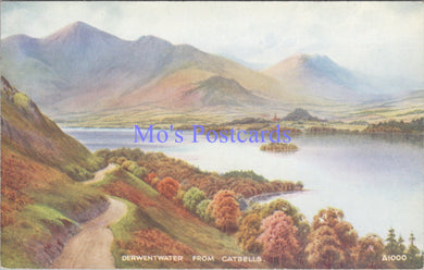 Cumbria Postcard - Derwentwater From Catbells  DC2196
