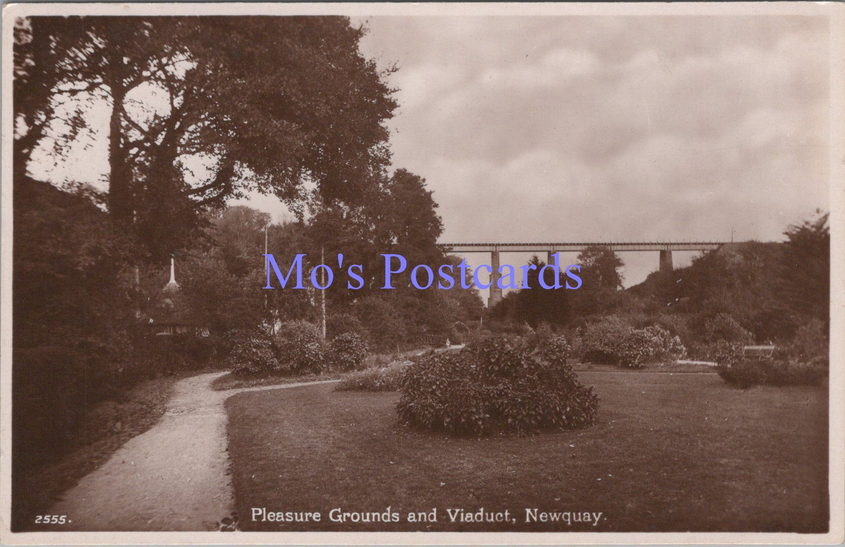 Cornwall Postcard - Newquay Pleasure Grounds and Viaduct  DC2212