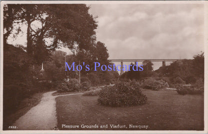 Cornwall Postcard - Newquay Pleasure Grounds and Viaduct  DC2212