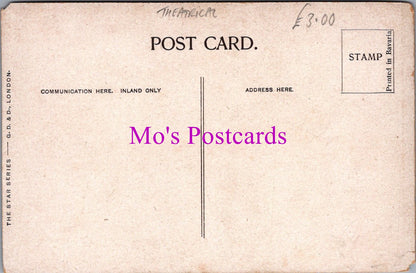 Literature Postcard - Arthur Wing Pinero, Dramatist  SW145890