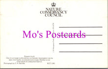 Load image into Gallery viewer, Animals Postcard - The Emperor Moth   DZ39
