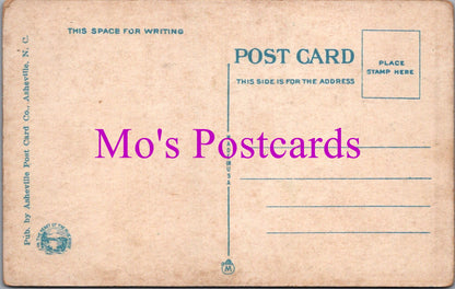 Literature Postcard - No'th Ca'lina, American Poet Bertoon Braley  DZ42