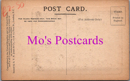 Naval Postcard - Lord Charles Beresford, Queen Alexandra's Photographs  SW14583