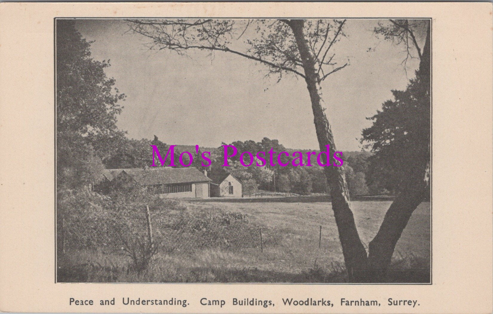 Surrey Postcard - Camp Buildings, Woodlarks, Farnham  SW15588