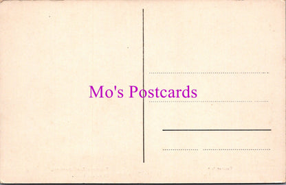 Art Postcard - Museo Municipal De San Sebastian, El Inicio Final  SW15123
