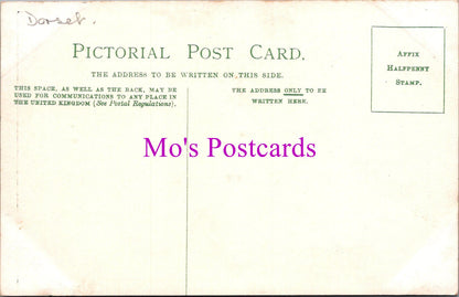 Dorset Postcard - The Hyde, Walditch   SW15256