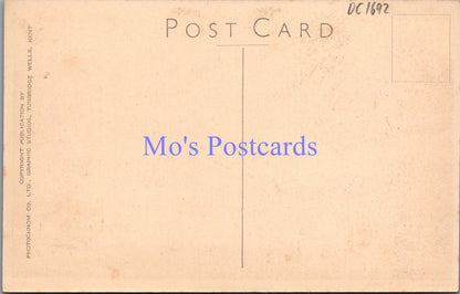 Wales Postcard - Dolgelley, Cader Idris   DC1692
