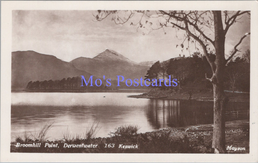Cumbria Postcard - Broomhill Point, Derwentwater, Keswick  DC1703