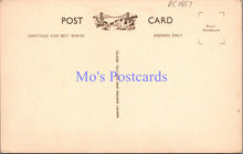 Load image into Gallery viewer, Devon Postcard - Ilfracombe Pleasure Gardens and Pavilion  DC1657
