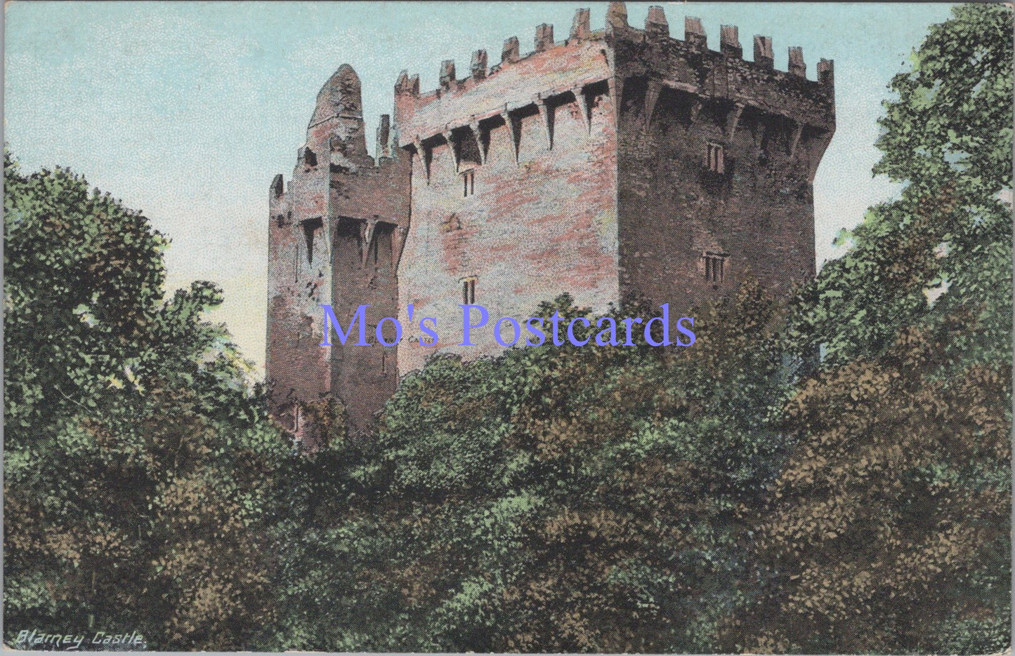 Ireland Postcard - Blarney Castle, Co Cork   DC1674