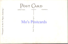 Load image into Gallery viewer, Surrey Postcard - Winkworth, The Azalea Walk  SW13829
