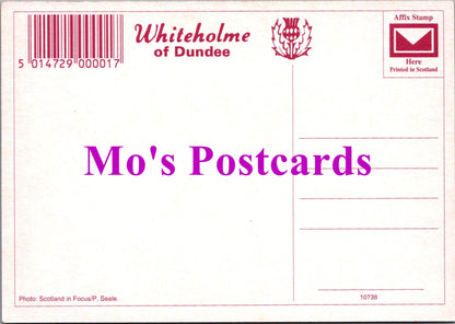 Scotland Postcard - Holy Island, Isle of Arran   SW14957