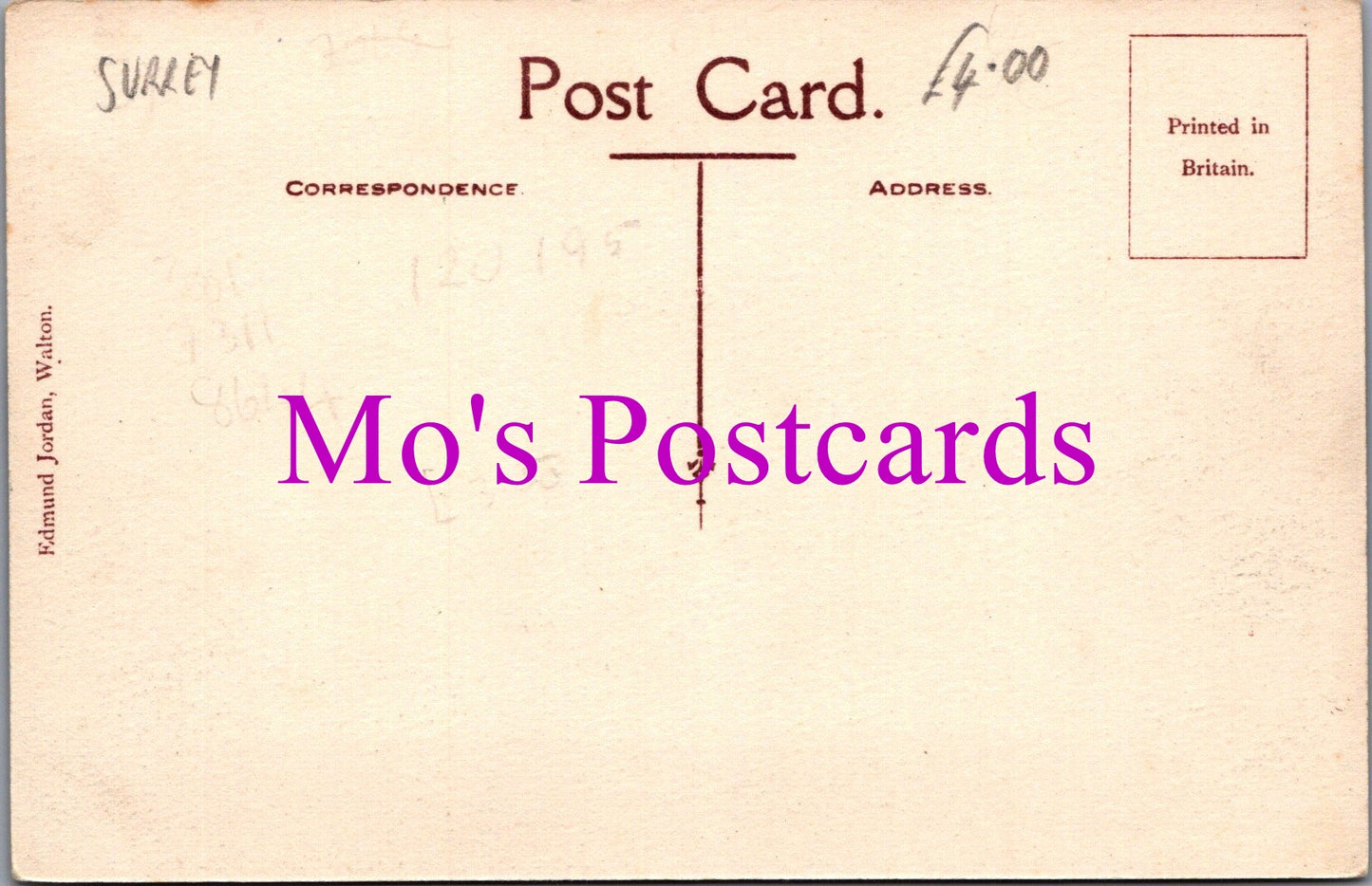 Surrey Postcard - The Camps, Walton-On-Thames   SW15414