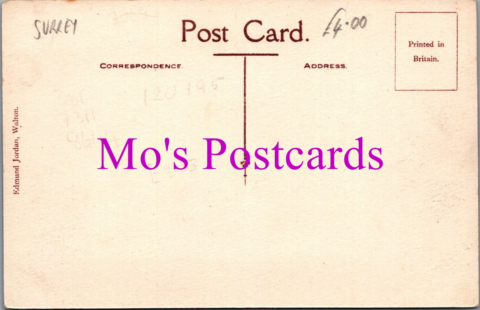 Surrey Postcard - The Camps, Walton-On-Thames   SW15414