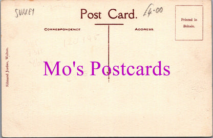 Surrey Postcard - The Camps, Walton-On-Thames   SW15414