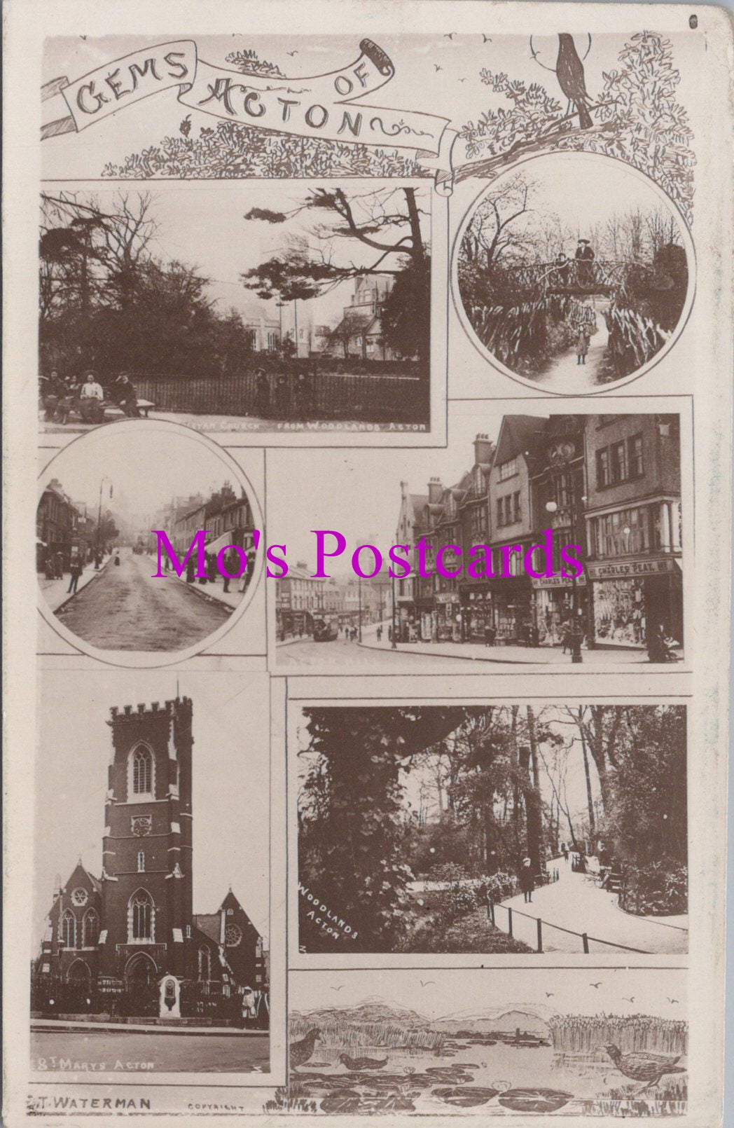 London Postcard - Gems of Acton, Ealing   SW15316