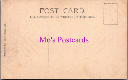 Surrey Postcard - Dorking. In Glory Woods   SW14164