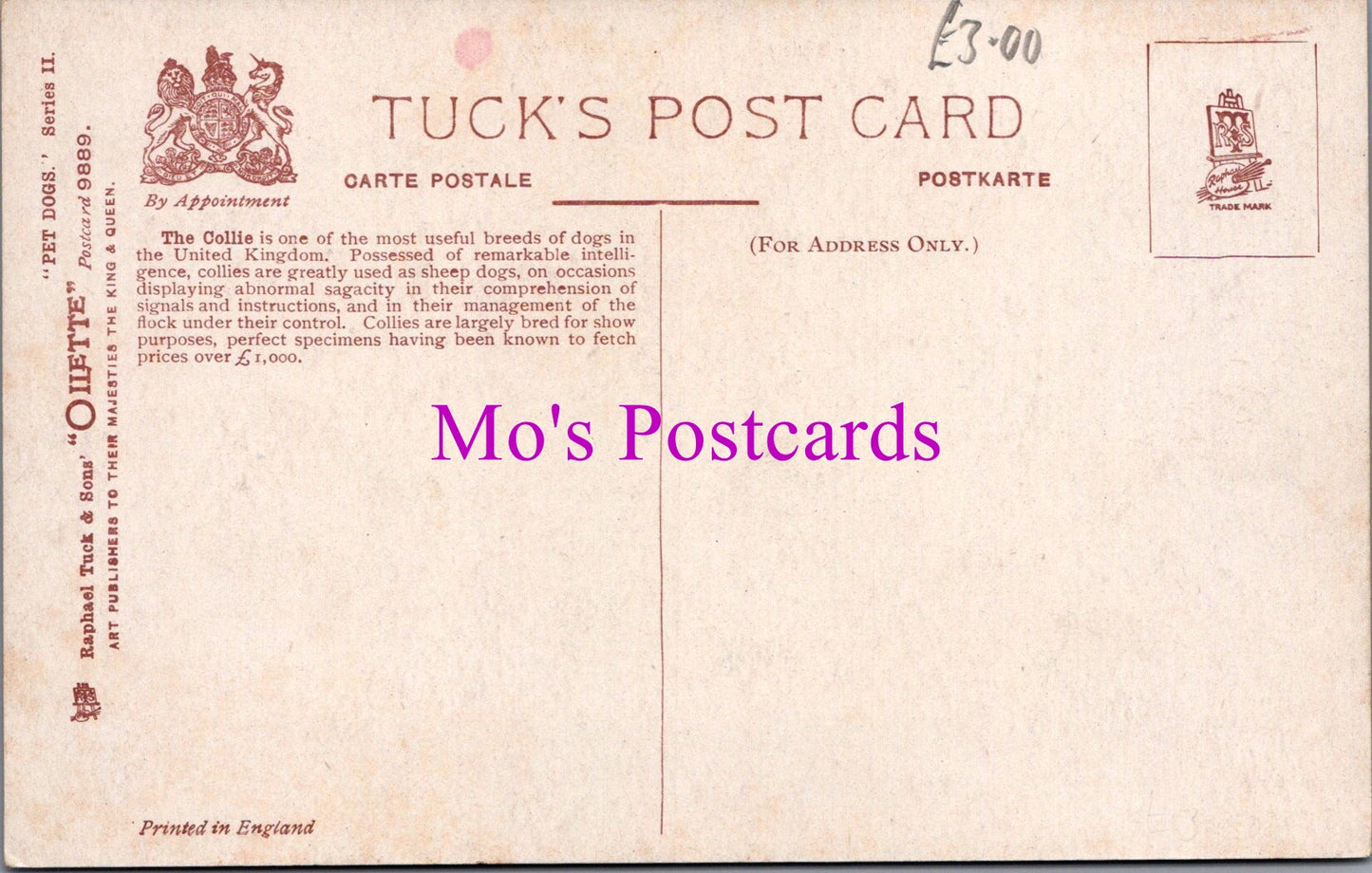 Animals Postcard - Pet Dogs - Artist Maud West Watson  SW14244