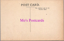 Load image into Gallery viewer, Wales Postcard - Denbigh Castle   SW14284
